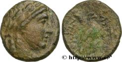 Ancient Coins - SYRIA - SELEUKID KINGDOM - ACHAEUS Sardes, Lydie c. 220-214 AC. (18mm, 4,40g, 6h)