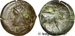 Ancient Coins - CAMPANIA - NEAPOLIS Naples, Campanie c. 275-250 AC. (20mm, 6,60g, 12h)