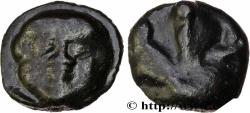 Ancient Coins - SICILY - SELINUS Sélinonte, Sicile c. 435-415 AC. (18,5mm, 9,38g, 12h)