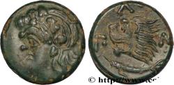 Ancient Coins - TAURIC CHERSONESE - PANTICAPEUM Panticapée, Chersonèse Taurique c. 310 - 304/303AC. (20mm, 7,28g, 12h)