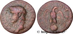 Ancient Coins - TITUS Rome 80-81 (27,5mm, 10,26g, 7h)