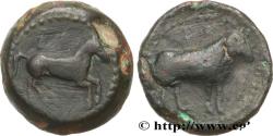 Ancient Coins - CYRENAICA - BARCA Barcé, Cyrénaïque c. 320-300 AC. (18mm, 7,25g, 3h)