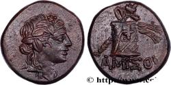 Ancient Coins - PONTUS - AMISOS Amisos, Pont c. 85-65 AC. (20,5mm, 8,53g, 12h)
