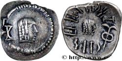 Ancient Coins - ARABIA FELIX - HIMYARITES Raidan, Arabie c. 50-150 (15mm, 1,67g, 12h)