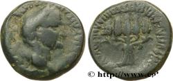 Ancient Coins - VESPASIAN Bithynie, incertaines c. 69-79 (23mm, 10,64g, 12h)