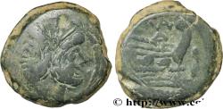 Ancient Coins - ROMAN REPUBLIC - ANONYMOUS Rome 169-157 AC. (33,5mm, 34,47g, 9h)