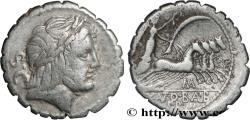 Ancient Coins - ANTONIA Rome 83-82 AC. (18,5mm, 3,64g, 3h)