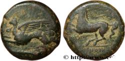 Ancient Coins - SICILY - ALASEA (KAINON) Kainon, Sicile c. 365-360 AC. (21,5mm, 11,12g, 12h)