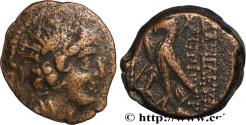 Ancient Coins - SYRIA - SELEUKID KINGDOM - ANTIOCHUS VIII GRYPUS Antioche, Syrie c. 121/120 - 111/110 AC. (19mm, 4,93g, 10h)