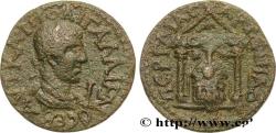 Ancient Coins - GALLIENUS Pergé, Pamphylie 260-268 (32mm, 15,68g, 12h)