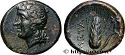 Ancient Coins - LUCANIA - METAPONTUM Métaponte, Lucanie c. 275-250AC. (16mm, 3,08g, 12h)