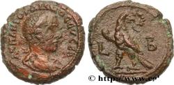 Ancient Coins - GORDIAN III Alexandrie, Égypte 238-239 (23mm, 11,54g, 12h)