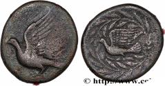 Ancient Coins - SIKYONA - SIKYON Sikyonia, Sicyone c. 431-400 AC. (19mm, 5,28g, 3h)