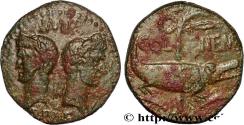 Ancient Coins - AUGUSTUS and AGRIPPA Nîmes, Gaule c. 10 AC. - 10 AD. (26,5mm, 11,89g, 12h)