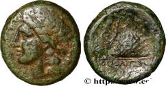 Ancient Coins - CAMPANIA - NEAPOLIS Naples, Campanie c. 300-275 AC. (21mm, 6,66g, 11h)