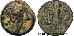 Ancient Coins - SYRIA - SELEUKID KINGDOM - ANTIOCHUS IX CYZICENUS Antioche, Syrie c. 114-112 AC. (18,5mm, 5,72g, 3h)