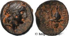 Ancient Coins - SYRIA - SELEUKID KINGDOM - TRYPHON Atelier incertain, imitation d’Antioche c. 140 AC. (18,5mm, 5,52g, 1h)