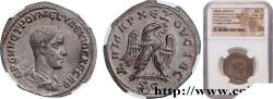Ancient Coins - HERENNIUS ETRUSCUS Antioche, Syrie, Séleucie et Piérie 250 (27mm, 14,39g, 7h)
