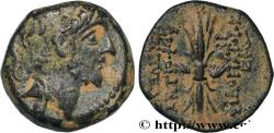 Ancient Coins - SYRIA - SELEUKID KINGDOM - ANTIOCHUS IX CYZICENUS Antioche, Syrie c. 114-112 AC. (18,5mm, 5,28g, 9h)