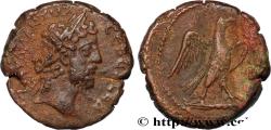 Ancient Coins - COMMODUS Alexandrie, Égypte 189-190 (24,5mm, 12,61g, 12h)