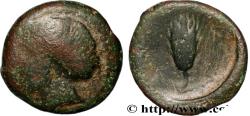 Ancient Coins - LUCANIA - METAPONTUM Métaponte, Lucanie c. 300-250AC. (18,5mm, 6,08g, 6h)