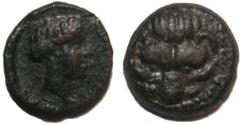 Ancient Coins - Bruttium Rhegion : Lion Scalp / Apollo
