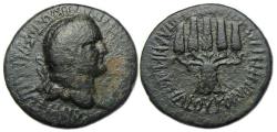 Ancient Coins - Vespasian Ae : Apameia Phrygia : Bundle of Corn-Ears