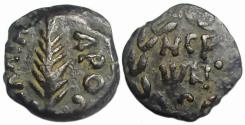 Ancient Coins - Porcius Festus, Procurators of Judaea : Ae Prutah : Palm Branch