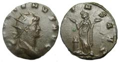 Ancient Coins - Gallienus Ae : PIETAS AVG : Mediolanum Mint