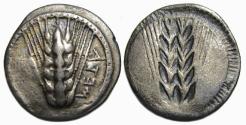 Ancient Coins - Metapontion Lucania AR Stater: Ear of Barley / Incuse Ear of Barley
