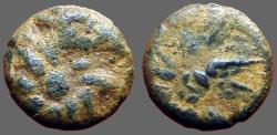 Ancient Coins - Pontos AE11  Head of horse right, w. star / Comet w. 8 point tail