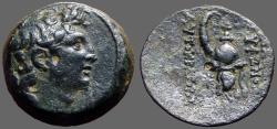 Ancient Coins - Seleukid, Tryphon AE18 His Diad. Head rt / Ibex Helmet