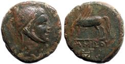 Ancient Coins - Pontos, Amisos AE23 Time of Mithradates VI Eupator. Pegasos grazing
