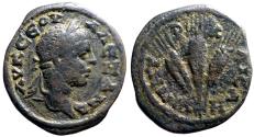 Ancient Coins - Severus Alexander AE21.5 Cappadocia, Caesarea.  Grain ears tied
