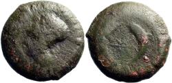 Ancient Coins - Syracuse AE29 Litra. Time of Timoleon. Athena Dolphin, starfish