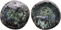 Ancient Coins - Ionia, Miletos AE15 Apollo / Lion & star