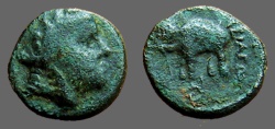 Ancient Coins - Antiochos III AE12 Hd of Apollo rt. / Elephant stg. left.  