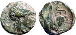 Ancient Coins - Troas, Neandria AE10.5 Apollo / Barley grain & grapes