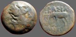 Ancient Coins - Antiochos III AE17 Horse grazing left, Ekbatana mint