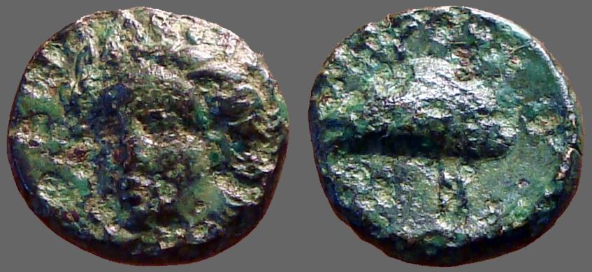 Ancient Coins - Aeolis, Grynion, AE10  Apollo / Mussel shell