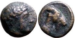 Ancient Coins - Aeolis, Aigai, AE7 Laureate head of Apollo right / Head of goat right