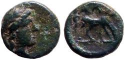 Ancient Coins - Troas, Alexandria AE8 Apollo / Horse grazing
