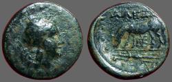 Ancient Coins - Troas, Alexandria AE17 Apollo / Horse grazing left