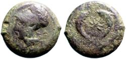 Ancient Coins - Syracuse AE30 Litra. Time of Timoleon. Athena Dolphin, starfish