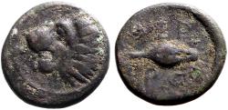 Ancient Coins - Thrace, Chersonesos AE13 Lion / Barley grain