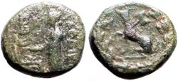 Ancient Coins - Phrygia, Laodikeia AE13 Aphrodite / Panther seated w. labrys
