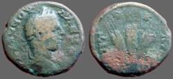 Ancient Coins - Severus Alexander AE18 Caesaraea-Eusebia.  Grain ears bound