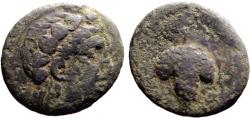 Ancient Coins - Apulia, Neapolis AE17 Dionysos / Grape vine w. cluster