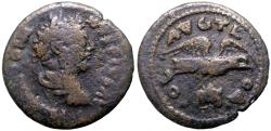 Ancient Coins - Caracalla AE26 Troas. Alexandria. Eagle flying holding forepart bull