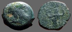 Ancient Coins - Ptolemy of Cyprus AE16 Hemiobol, Zeus holding grain ear.
